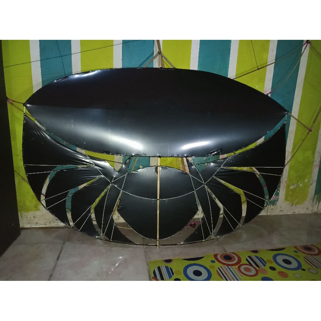 Jual LAYANGAN RAM-RAMAN MOTIF SPIDER POLOSAN 1,5CM+SENDAREN | Shopee ...