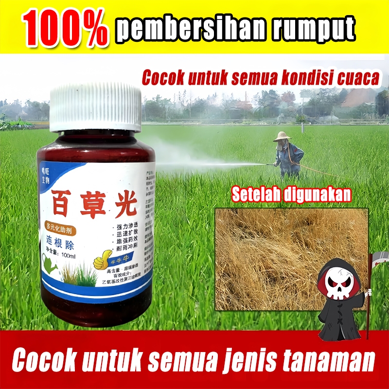 Jual racun rumput paling ampuh herbisida pembasmi rumput liar&pohon ...
