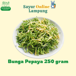 SAYUR BUNGA PEPAYA MUDA 250 GR