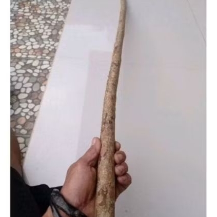 Jual Ranting dahan Kanyere 1 Meter Penangkal petir | Shopee Indonesia