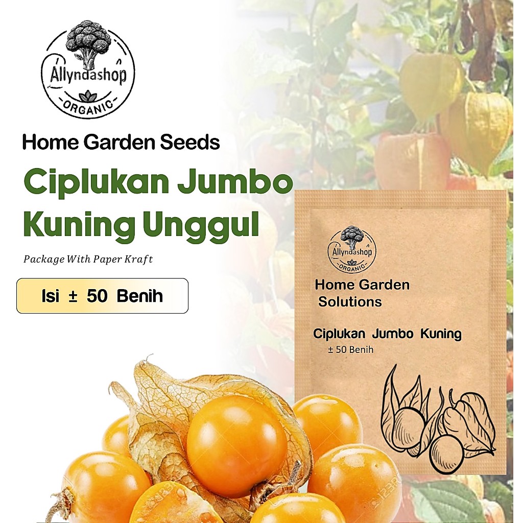 30 Biji - Bibit Benih Buah Ciplukan Kuning Golden Berries