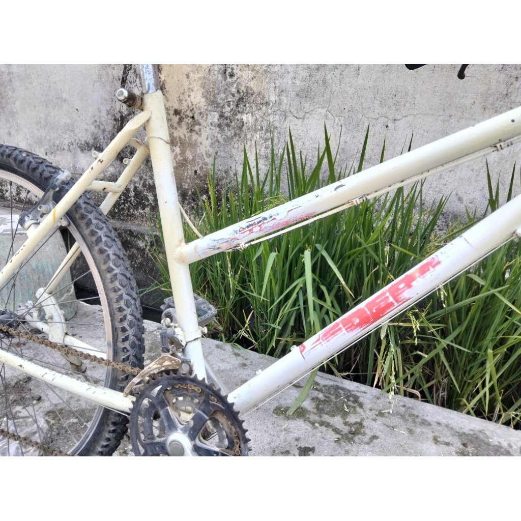 Jual sepeda federal lady wild cat ss pivot kotak SN nomer bekas ...