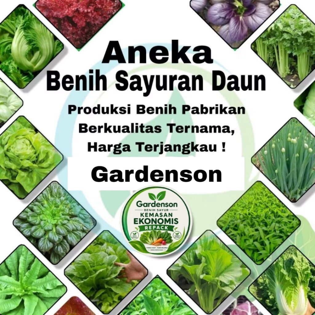 Aneka Macam Benih Sayuran Daun Rumahan Banyak Varian Unggulan Petani