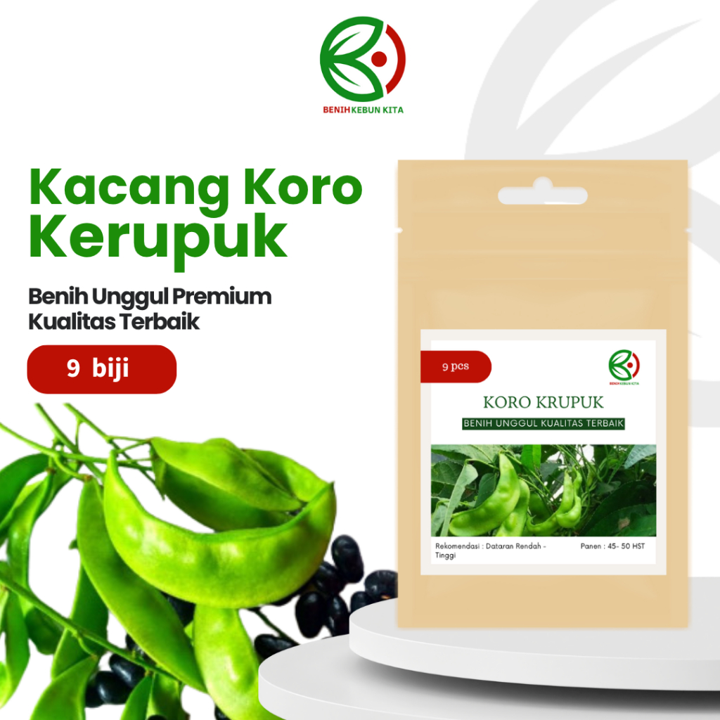 Biji Benih Bibit Tanaman Sayuran Kacang Koro Kerupuk Unggul Berkualitas