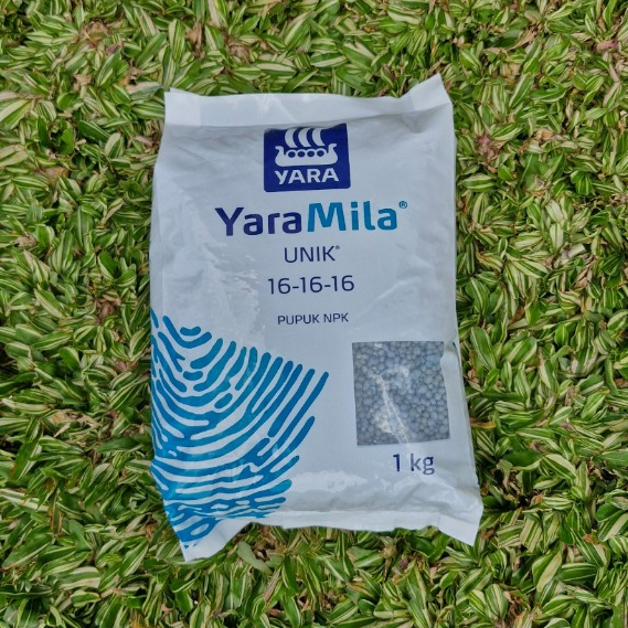 YaraMila Unik 16-16-16 Kemasan 1KG Pupuk NPK Seimbang untuk Semua Tanaman Meningkatkan Kualitas Panen Batang Kuat Daun Segar