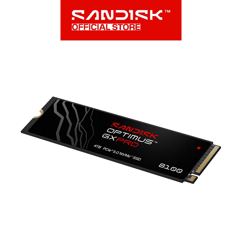SANDISK Optimus GX PRO 8100 NVMe SSD 1TB / 2TB / 4TB (4)