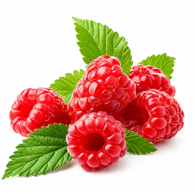 10 Biji Benih  Buah Raspberry Thornless Red Raspberry Fruits Seeds (Isi 10 biji)