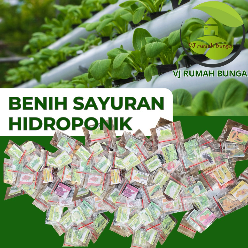 Benih Bibit Sayuran Hidroponik