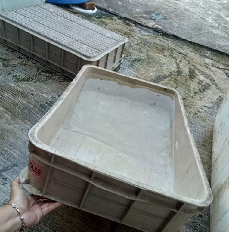 Jual box rabbit seri No.2022 ( krem ) uk. 63x43x14cm box kolam ikan ...