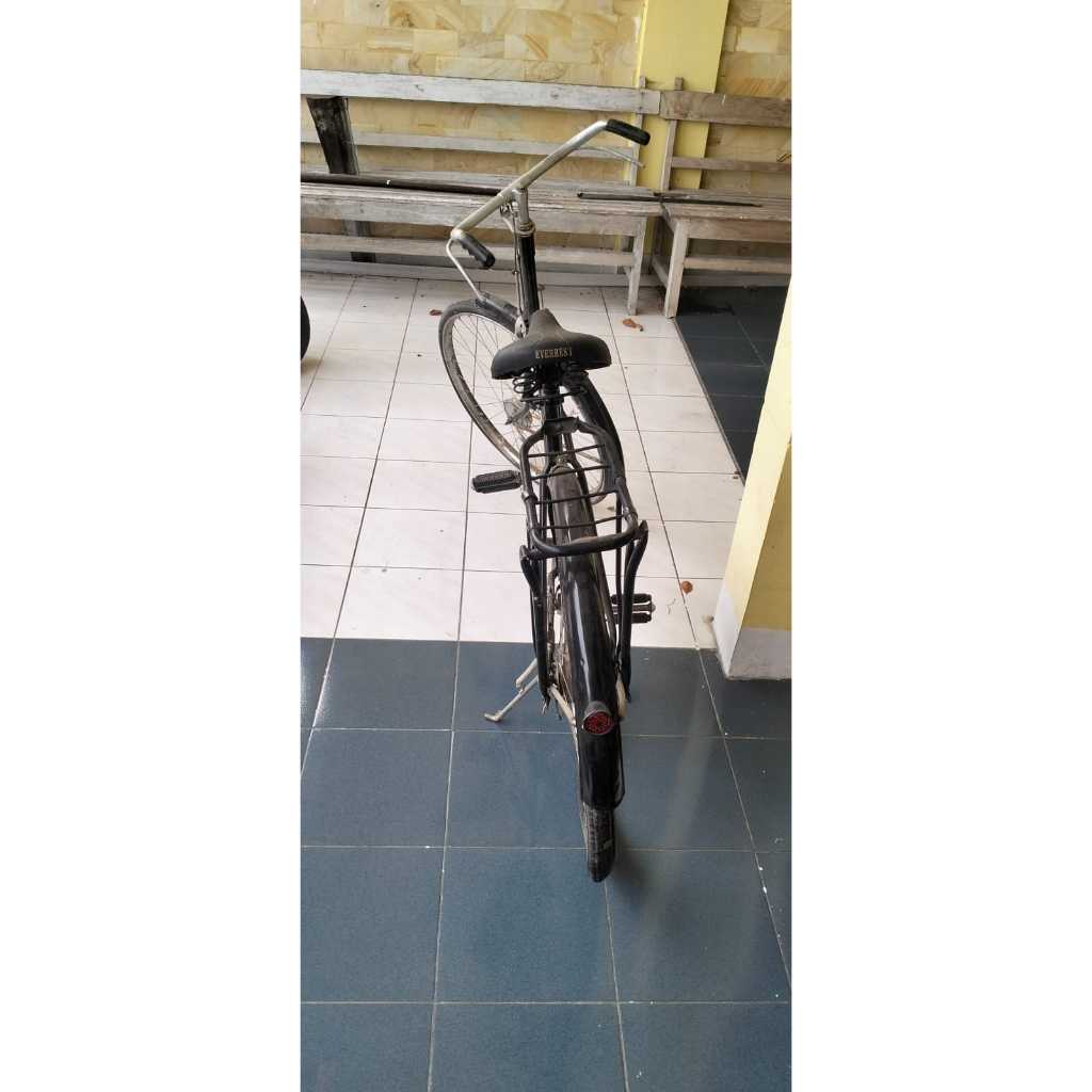 Jual Sepeda Ontel Raleigh unik klasik kuno jadul | Shopee Indonesia