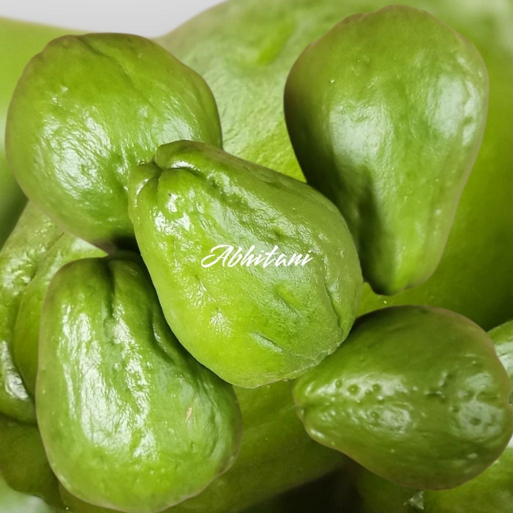 Jual labu siam / jepan segar baru petik 1kg | Shopee Indonesia
