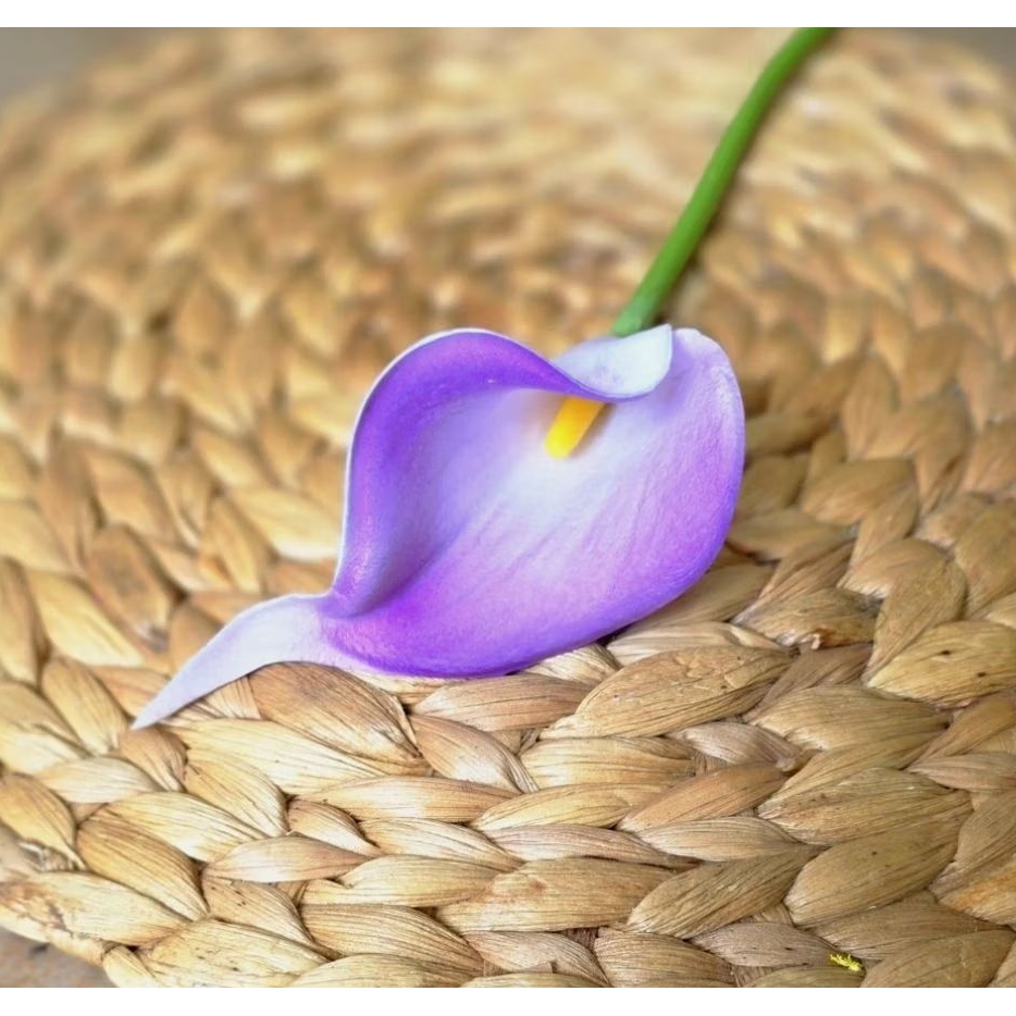 Jual Bunga Calla Lily PU Satuan 35cm | Shopee Indonesia