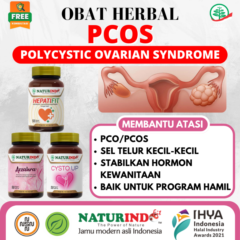 Jual Obat Herbal PCOS Polycystic Ovarian Syndrome Sindrom Polikistik ...