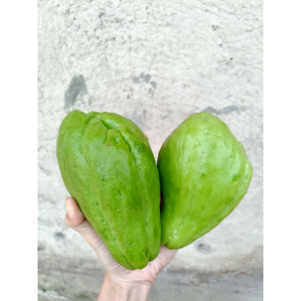 Jual labu Siam1kg | Shopee Indonesia