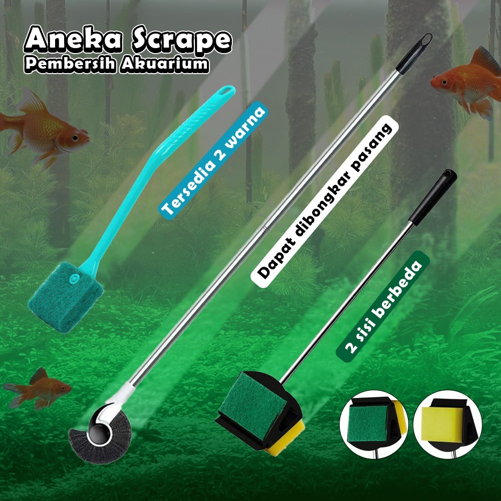 Jual Alat Pembersih Akuarium Scrape Sponge Gosok Pembersih Akuarium ...