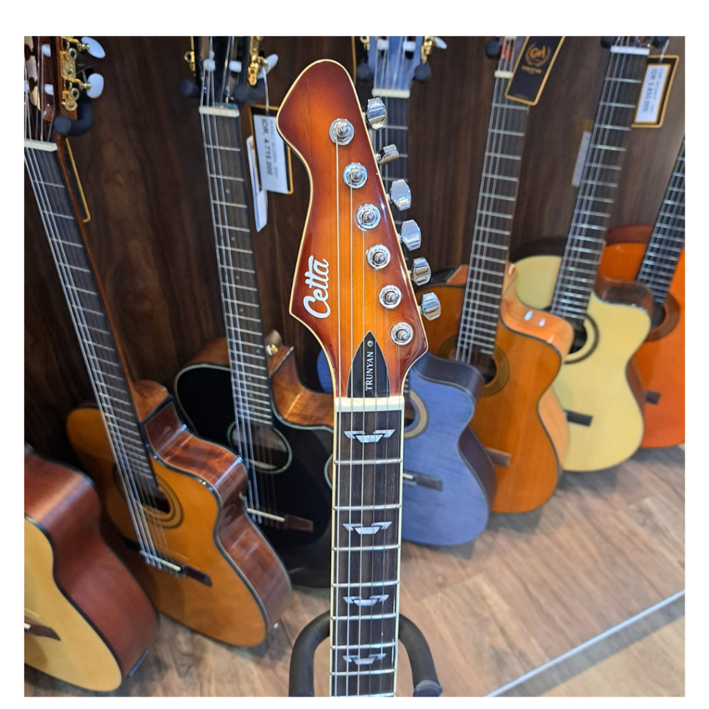 Jual CETTA TRUNYAN SERIES SET NECK ELECTRIC GUITAR - GITAR ELEKTRIK ...