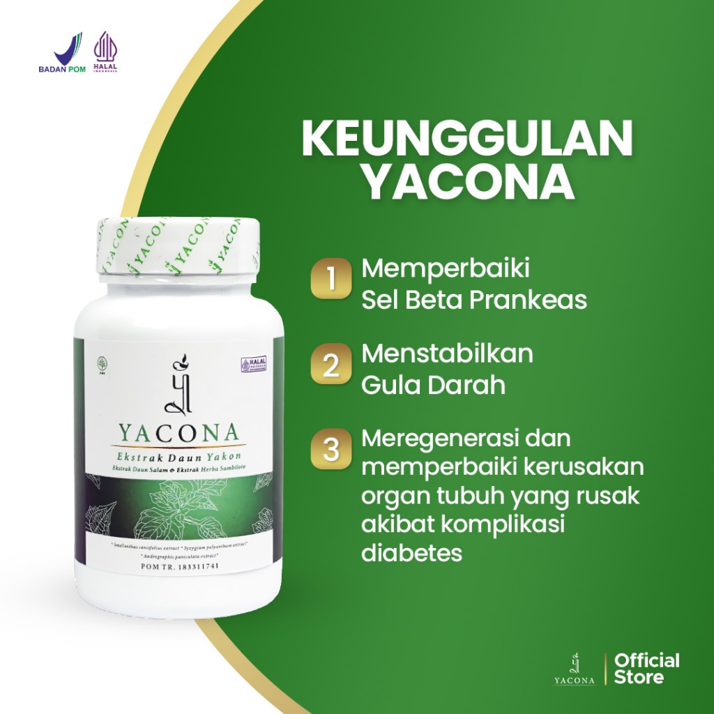 Obat Diabetes Yacona Herbal Meringankan Gejala Diabetes dan Gula Darah Tinggi Isi 60 Kapsul