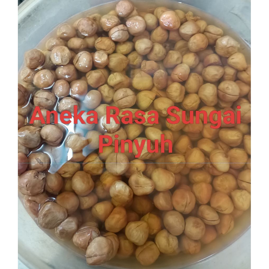 Jual Atapson Air (Asam Paya Rendam) | Shopee Indonesia