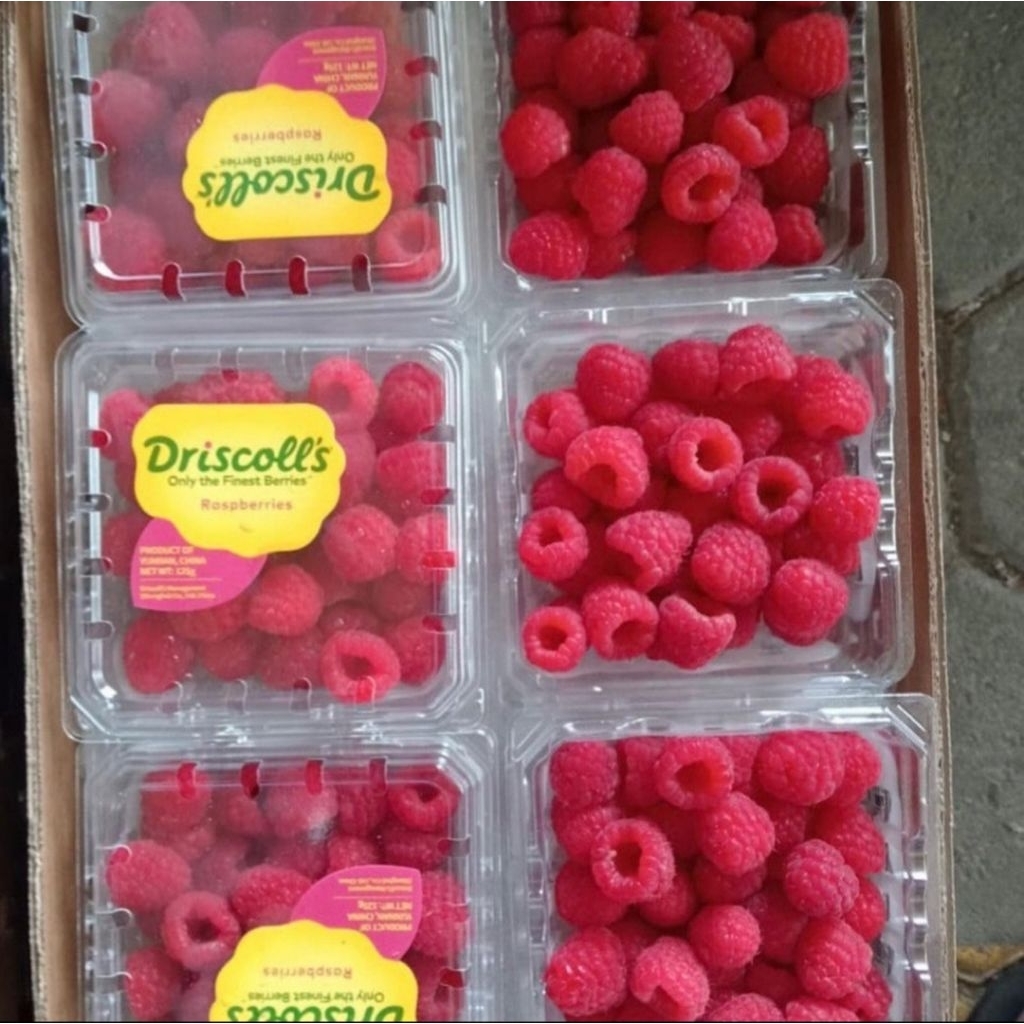 Jual Raspberry Driscoll Isi 12 Pack Dalam 1 Box | Shopee Indonesia
