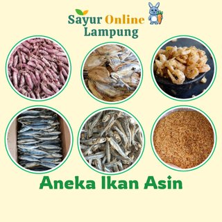 Aneka Ikan asin 100 gr/ Cumi Asin/Ikan Asin Layang/Ebi