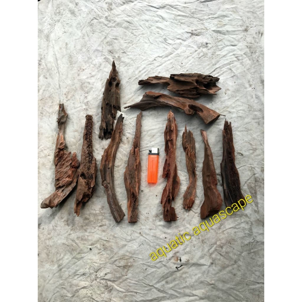 Jual kayu rentek mini meruncing untuk dekorasi aquascape 1pics | Shopee ...