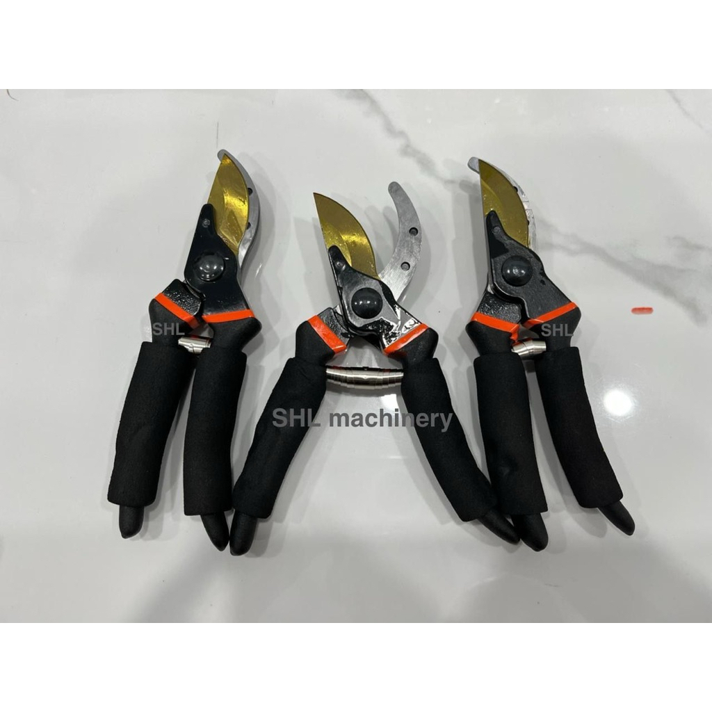 Jual Gunting Ranting Pohon Terlengkap & Harga Terbaru Agustus 2026 ...
