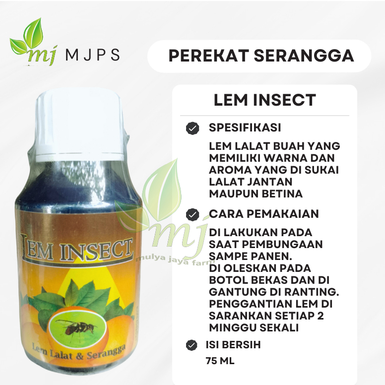 Jual Lem Insect / Lem Lalat Buah Kemasan 75 ML | Shopee Indonesia
