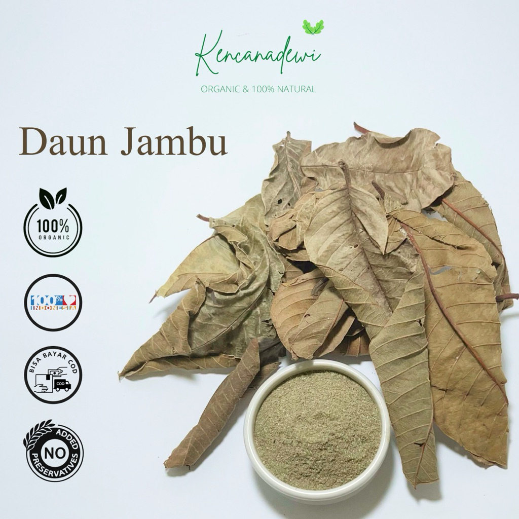 Jual Daun Jambu Biji Kering / Psidium guajava | Shopee Indonesia