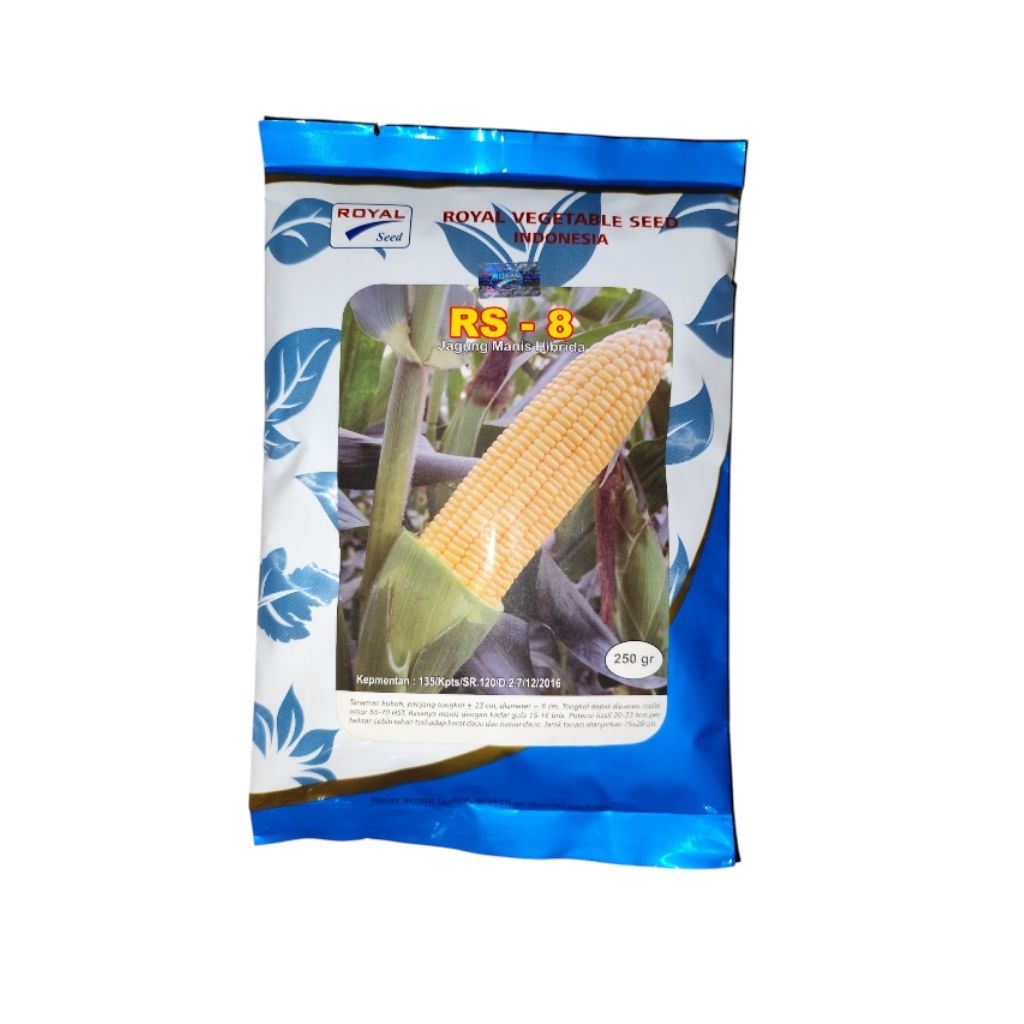 Benih Jagung Manis RS 8 Royal Seed - 250 Gram