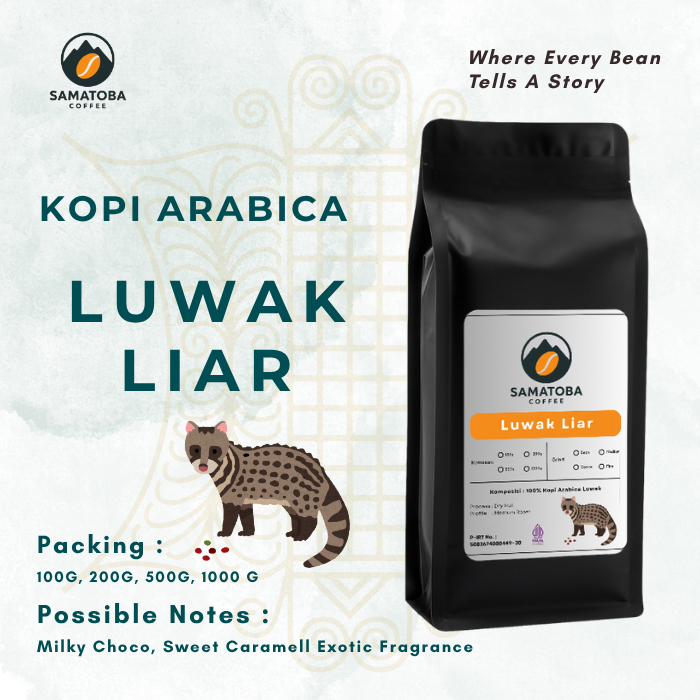 コーヒー LUWAK LIAR Jual Kopi Luwak Liar Arabika Gayo Aceh Arabica Coffee Roast Beans
