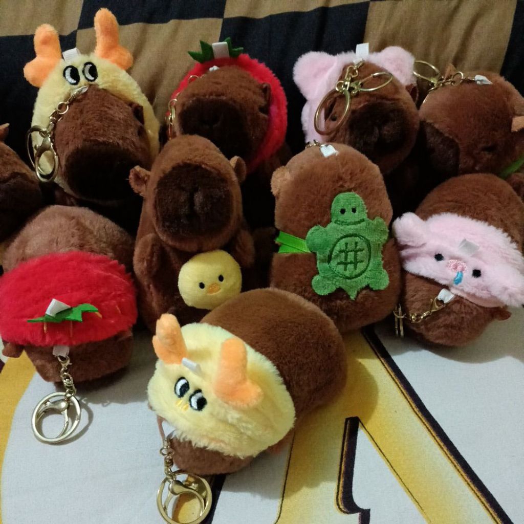 Jual ViraaaL Gantungan Kunci CapyBara Keys CapyBara | Shopee Indonesia
