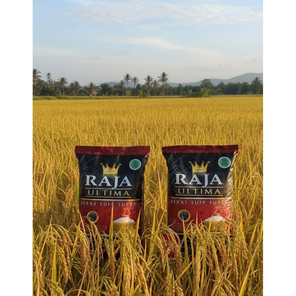 Jual Beras Raja ultima 5kg | Shopee Indonesia