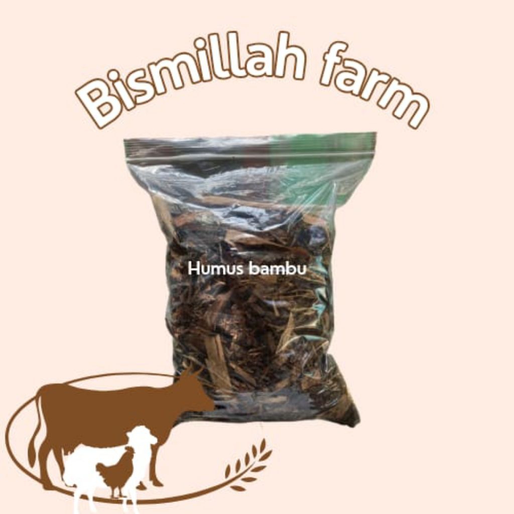 Jual Humus Bambu Daun Bambu 250g | Shopee Indonesia