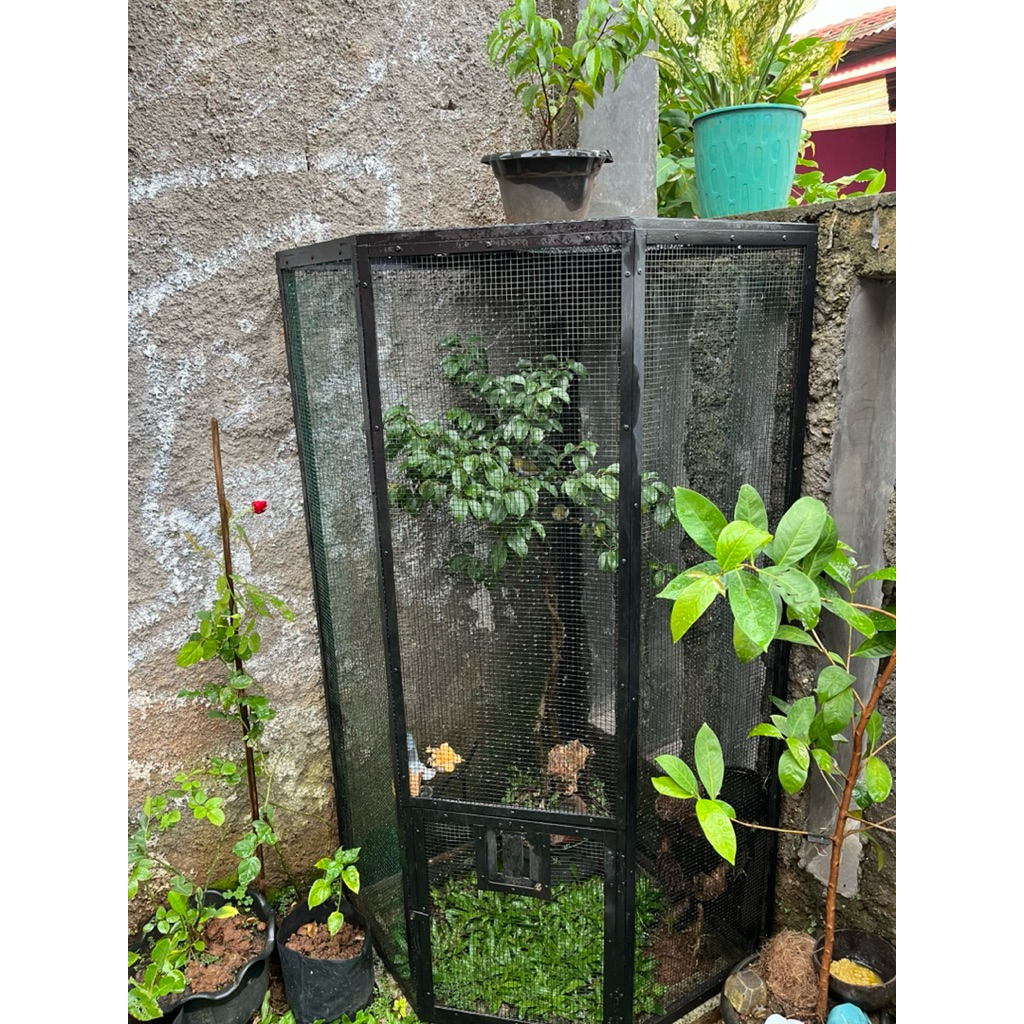 Jual Aviary Mini Terlengkap & Harga Terbaru Agustus 2026 | Shopee Indonesia