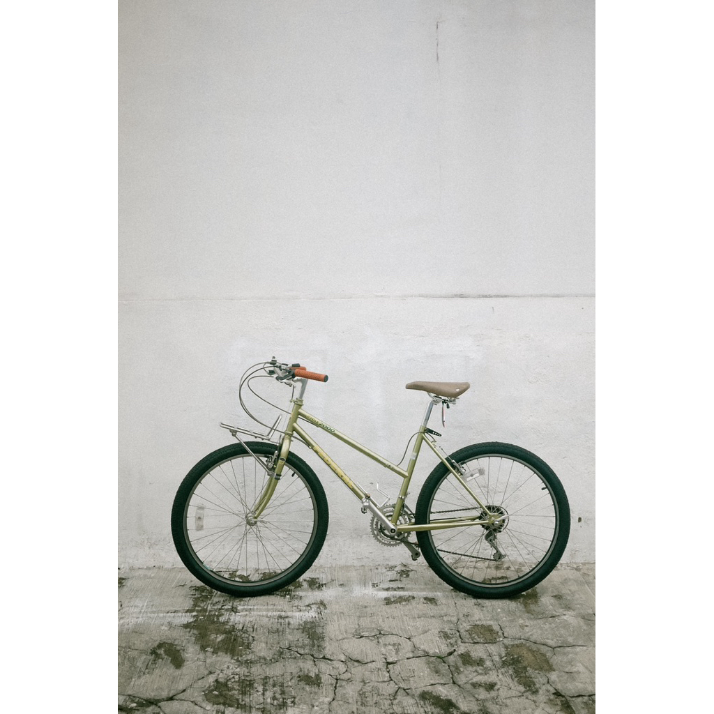 Jual sepeda federal lady 26 | Shopee Indonesia