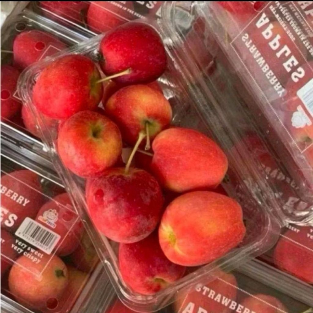Jual Buah apel candy RRC apel manis import candy super sweety & cruncy ...