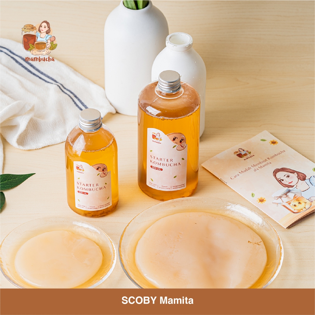 Jual Scoby Kit Mambucha by Mamita | Shopee Indonesia
