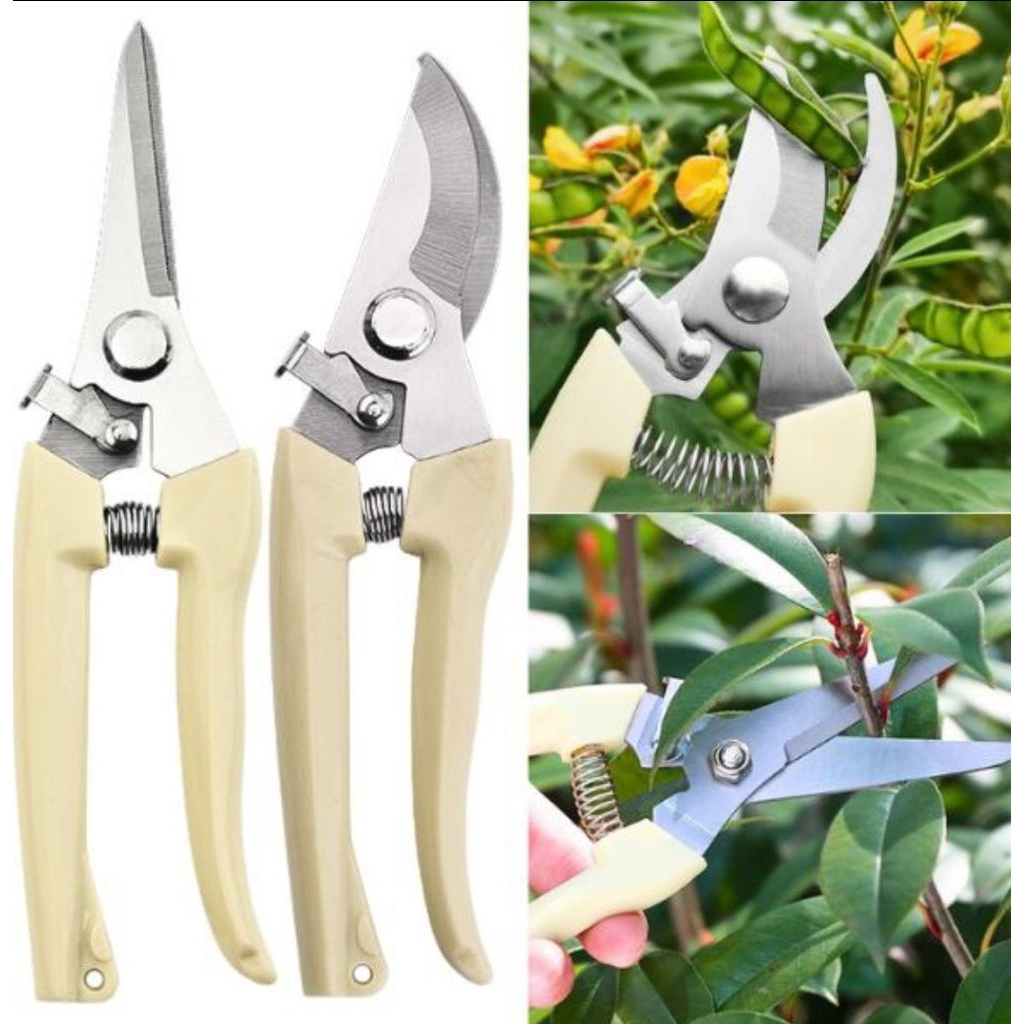 Jual GUNTING DAHAN GUNTING RANTING GUNTING TANAMAN PERALATAN BERKEBUN ...