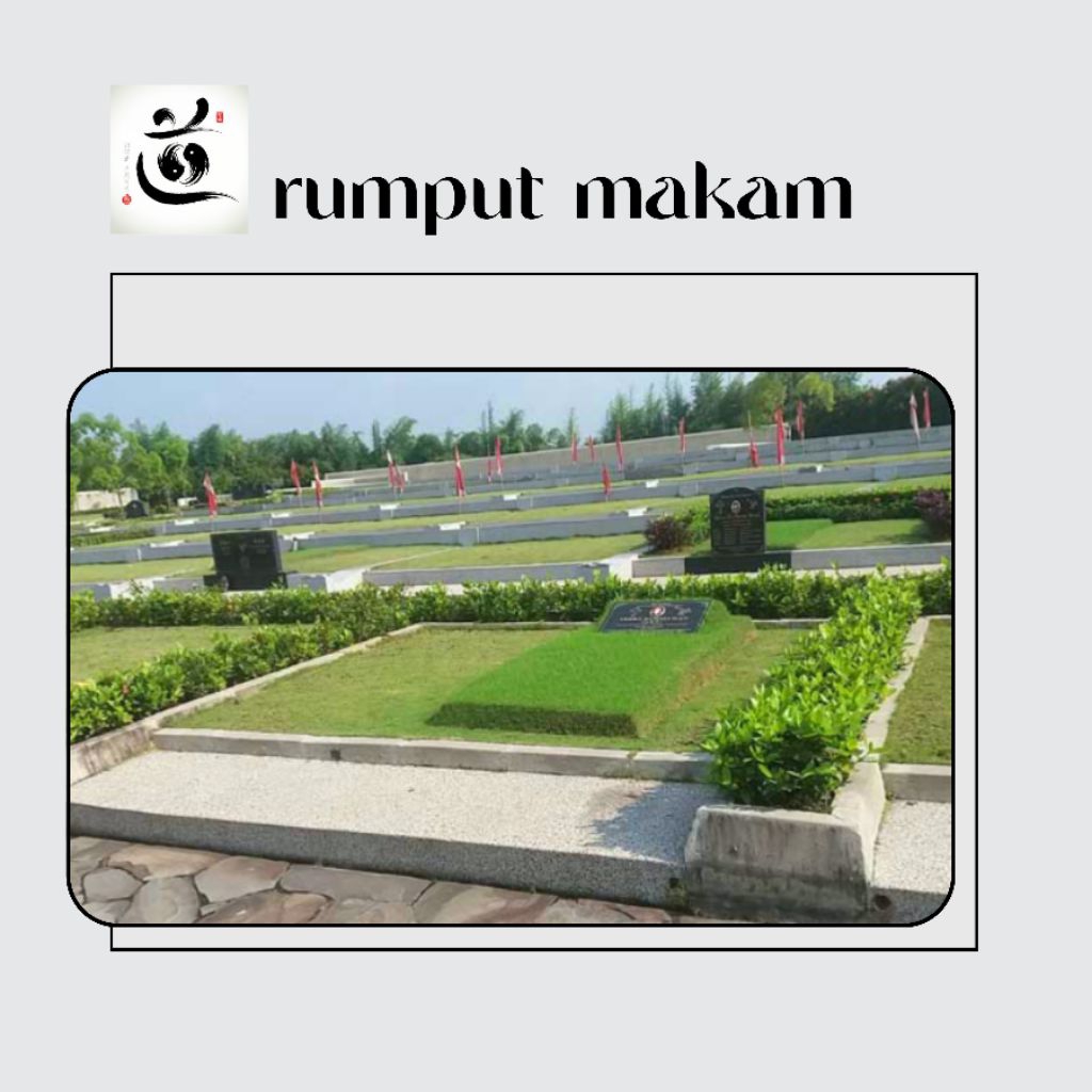 Jual Rumput Makam , 50 lembar ukuran 17 cm man | Shopee Indonesia