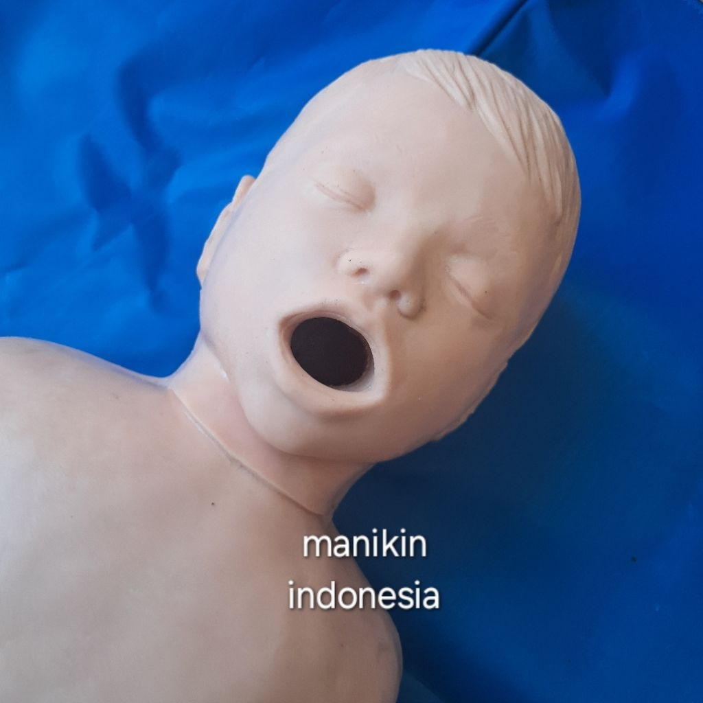 Jual PHANTOM MANIKIN / PHANTOM RJP ANAK / MANIKIN RJP ANAK / ALAT ...