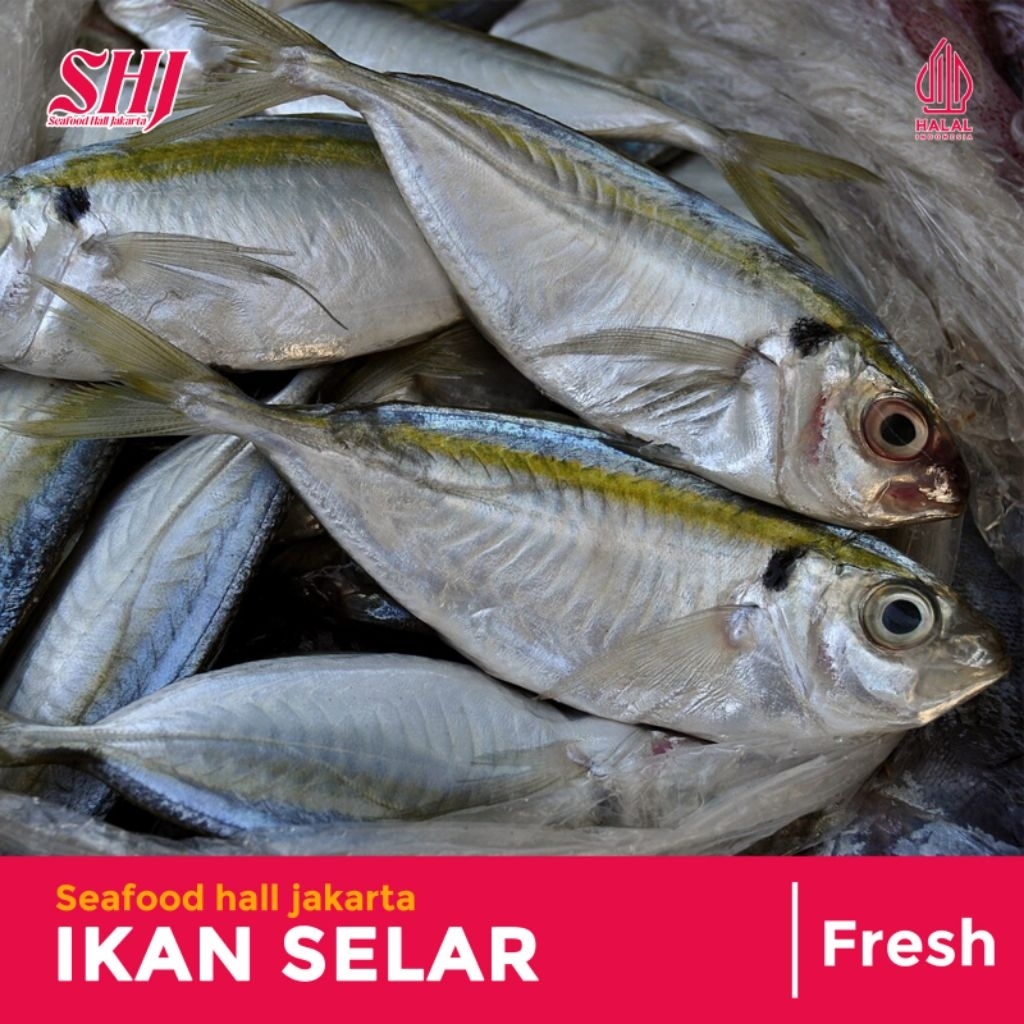Jual Ikan Selar Fresh Bersih 1kg/500gr | Shopee Indonesia