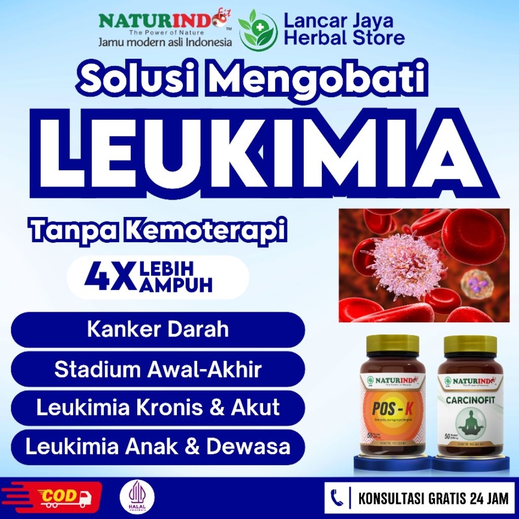 Obat Leukimia Kanker Sel Darah Putih Tanpa Kemoterapi Carcinofit Naturindo