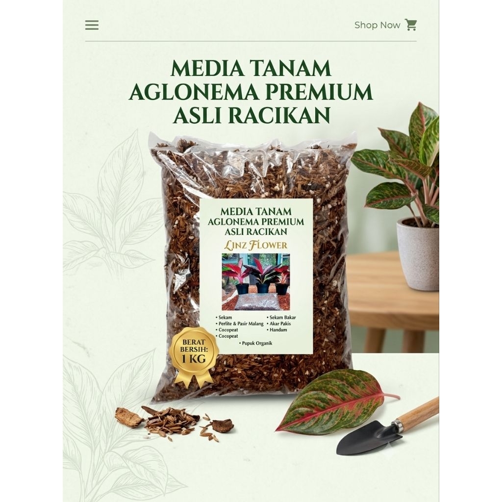Media tanam racikan khusus aglonema dengan campuran 6 jenis bahan isi kemasan 1KG premium siap pakai