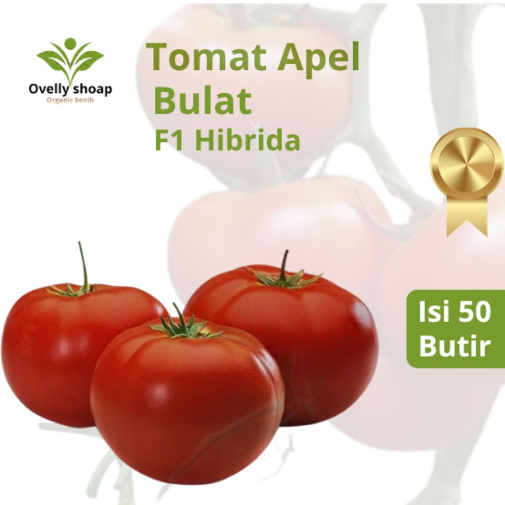 Benih Biji Tomat -Tanaman Buah Tomat Apel   isi ± 50