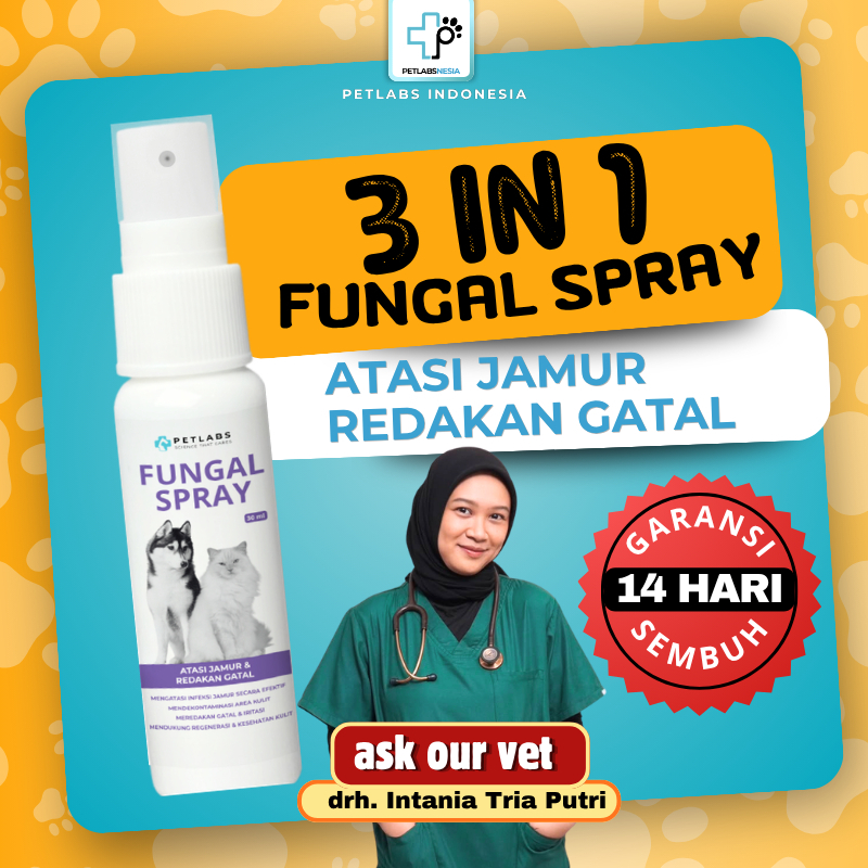 Jual Obat Ringworm Terlengkap & Harga Terbaru Oktober 2026 | Shopee ...