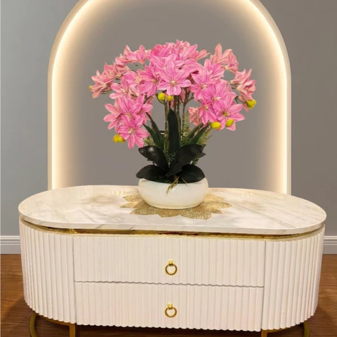 Meja Tamu Aesthetic Meja TV Minimalis - MEJA Zeyya - Kayu Solid Laci Cat Duco Glossy