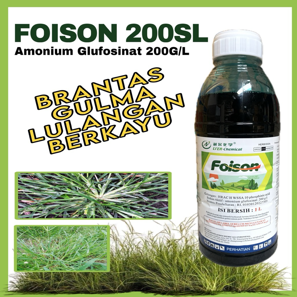 Jual Herbisida Lulangan Foison 200sl - Basmi Rumput lulangan | Shopee ...
