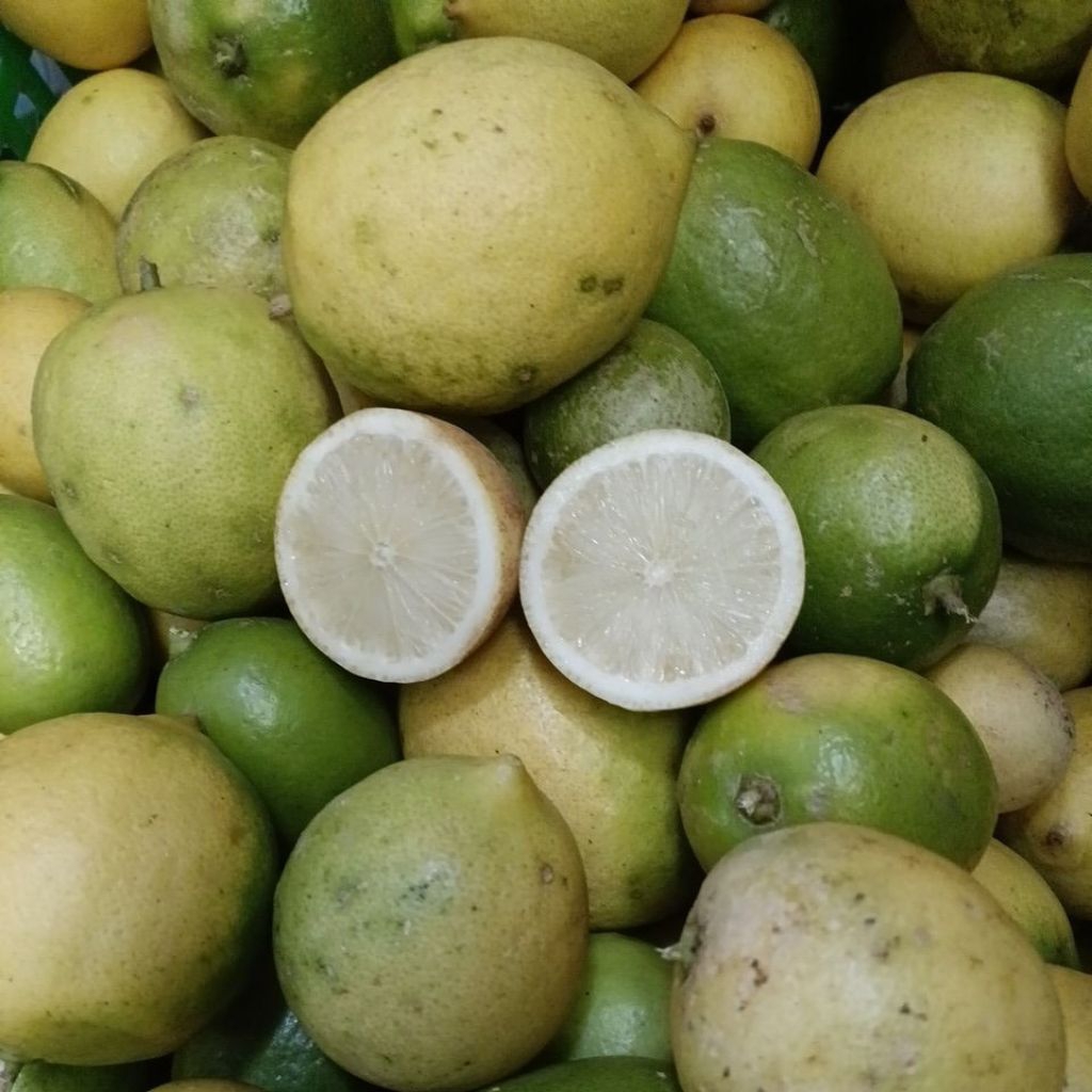 Jual Lemon seedless 1kg | Shopee Indonesia