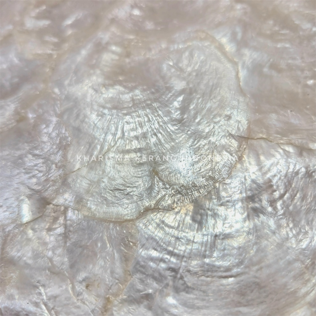 Jual White Laminated Capiz Shell SHeet Panel Kerang Capiz by Kharisma ...