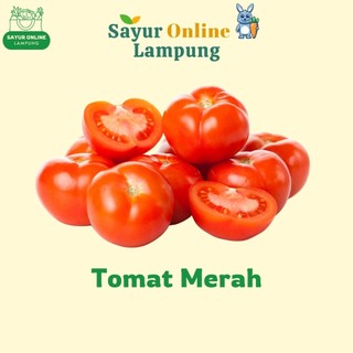 Tomat Merah - Fress